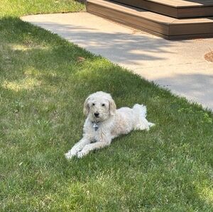 Meet your Posher, Victoria